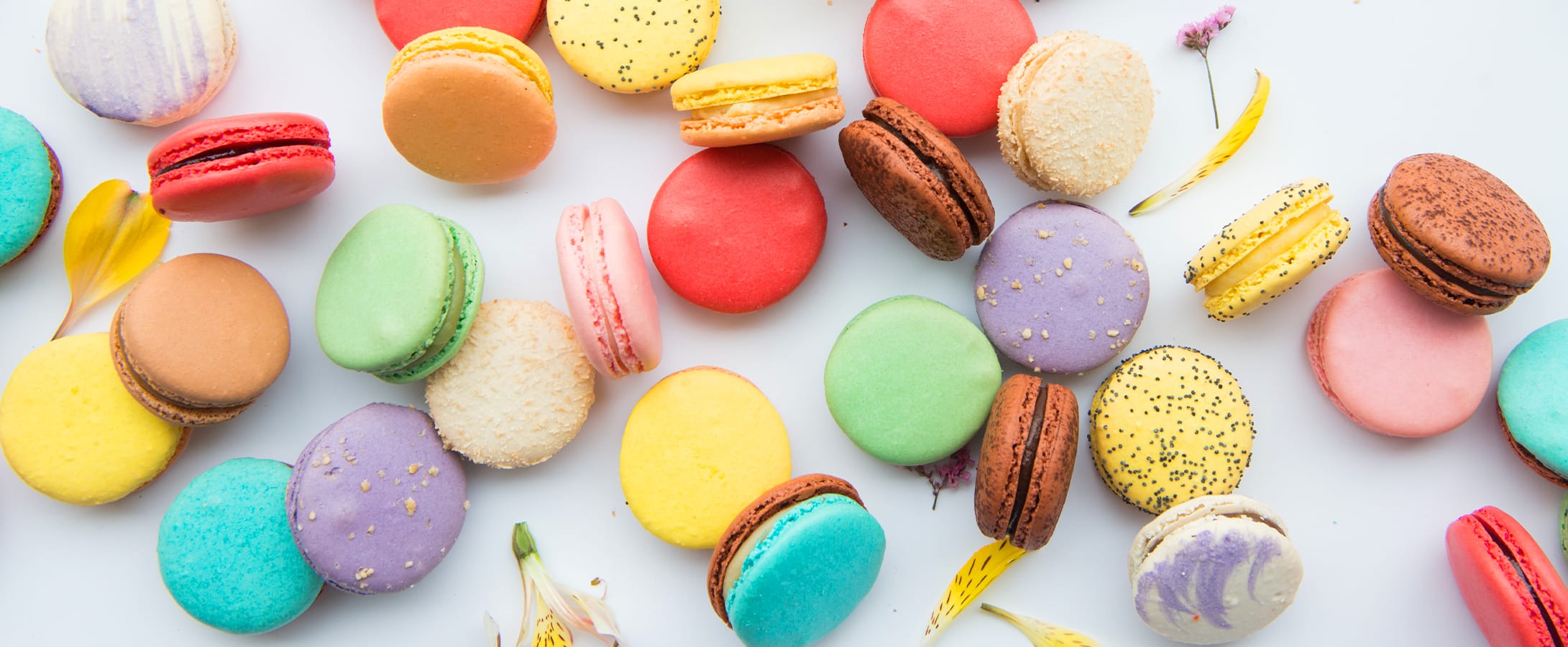 The official Woops! flavor guide… with a twist