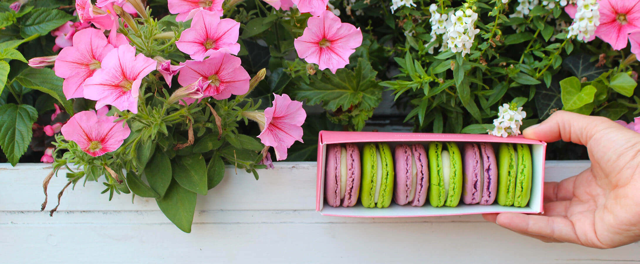 5 Spectacular Ways to Celebrate Spring’s Arrival