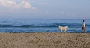 A man and his white dog are walking on the beach