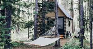 A wooden house and hammock in the middle of the forest. 