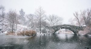 Central Park New York snow storm.