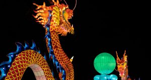 Two Chinese dragon facing each other