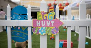  A white fence has a colorful “Egg Hunt” sign.
