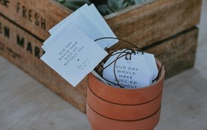 Three pots with white card in it. Beside it is a wooden box with plants inside.