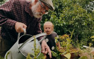 An old man is watering some plants with a girl to his side.