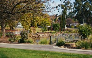 Botanical garden and park during autumn.