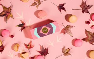 A Woops! Favor box of macarons surrounded by fall leaves and assorted macarons.